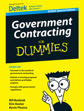 Government Contracting for Dummies